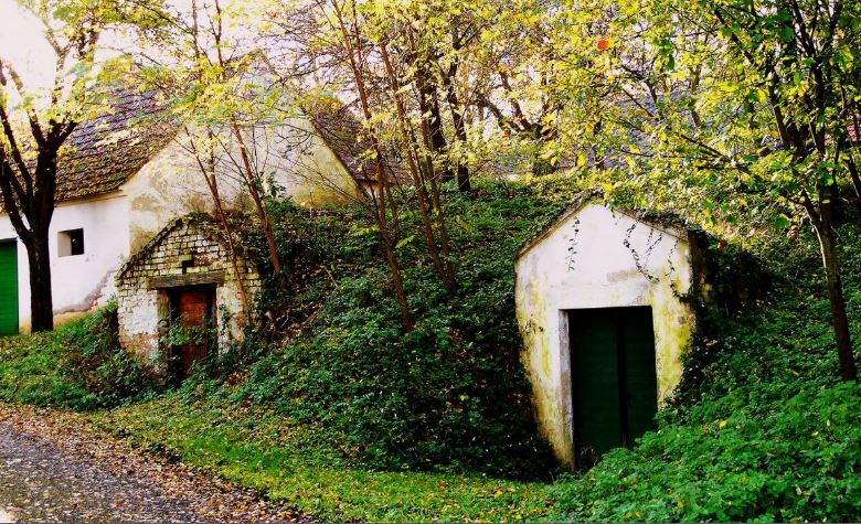 2014 - Herbstbilder - Rund um unsere Loahmgstettn