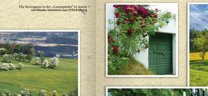 2015 - Unsere Rosengasse im "Gestalte(N)"-Magazin