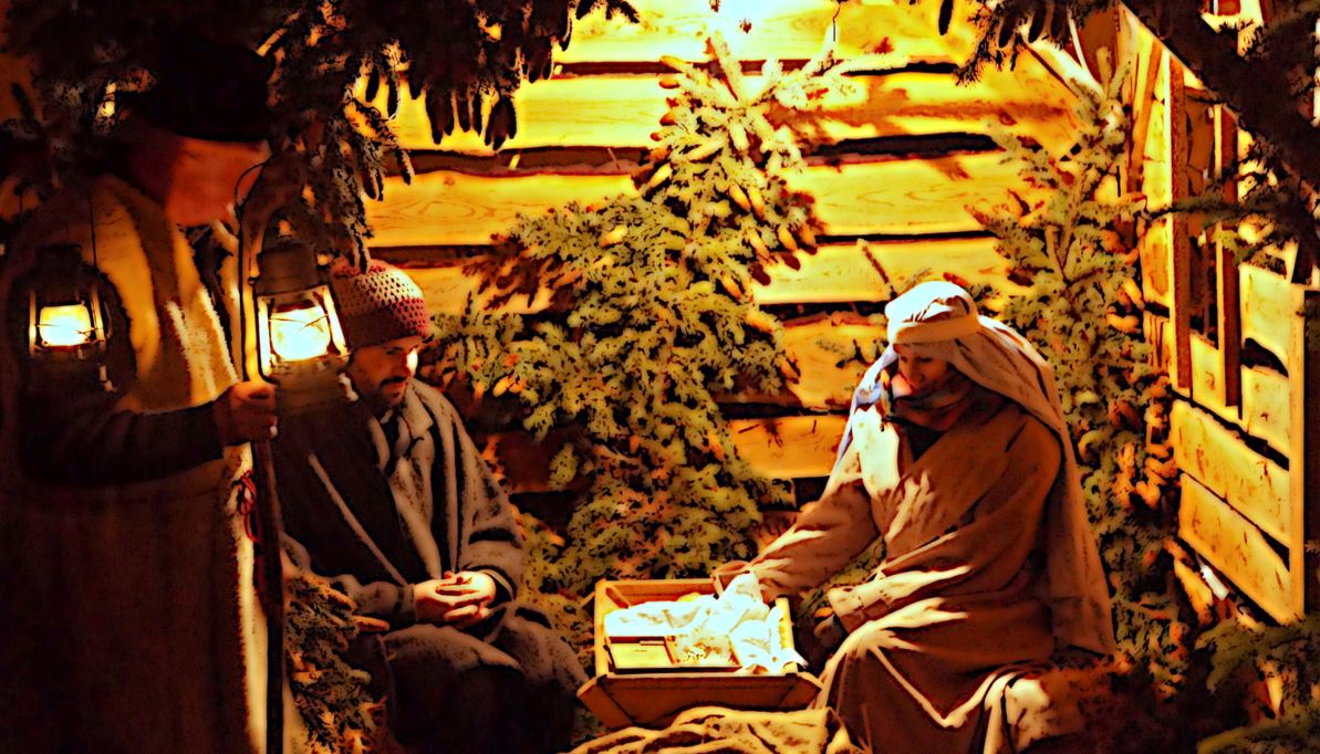 2015 - Krippendarstellung in Ameis